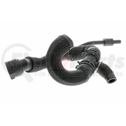 Vaico V10 4288 Radiator Hose