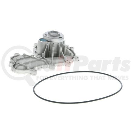 Vaico V1050079 Water Pump, engine cooling
