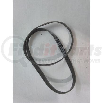 Navistar 3621194C2 Accessory Drive Belt