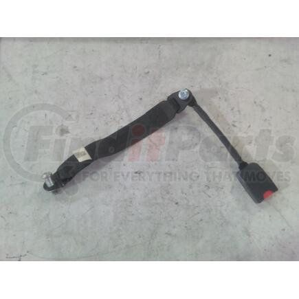 Navistar 3716956C92 Seat Belt