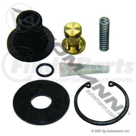 Automann 170.109995 ADSP Purge Valve Kit