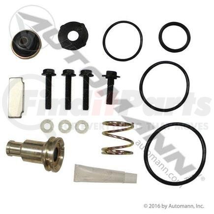 Automann 170.107798 AD9 TYPE PURGE VALVE KIT