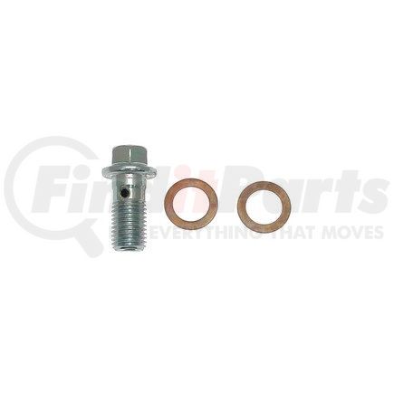 Carlson H9457-2 INLET BOLT