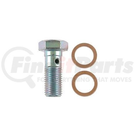 Carlson H9459-2 INLET BOLT