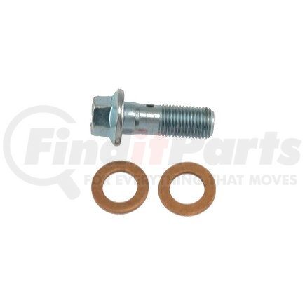 Carlson H9473-2 INLET BOLT