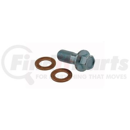 Carlson H9477-2 INLET BOLT