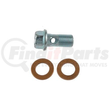 Carlson H9471-2 INLET BOLT