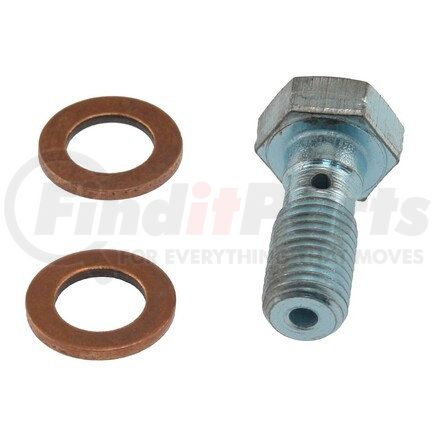 Carlson H9486-2 INLET BOLT