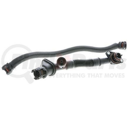 Vaico V203291 Kit de reparacion, ventilacion cárter