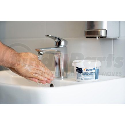 Vaico V601000 Hand Cleaners
