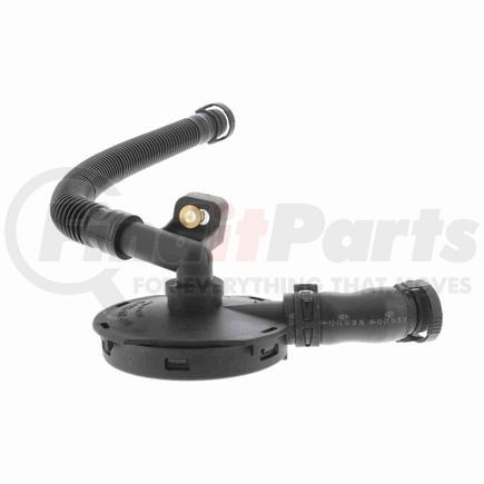 Vaico V450248 Valve, crankcase ventilation