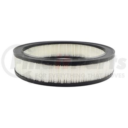 Baldwin PA2006 Engine Air Filter - used for Gm Automotive, Light-Duty Trucks