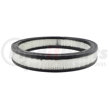 Baldwin PA2074 Engine Air Filter - used for Ford Automotive, Light-Duty Trucks