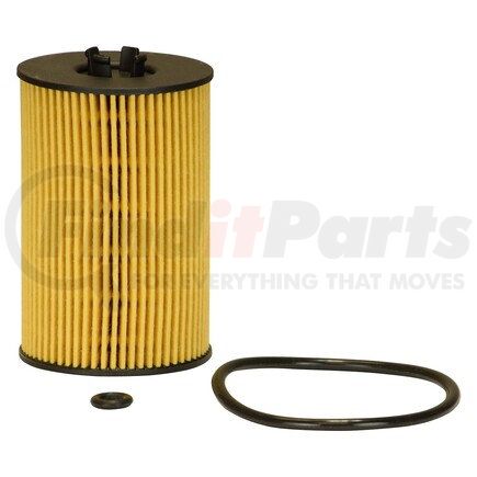 ECOGARD X10435 OIL FILTER