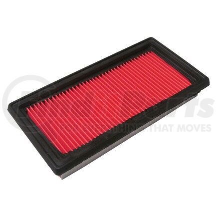 ECOGARD XA10025 AIR FILTER