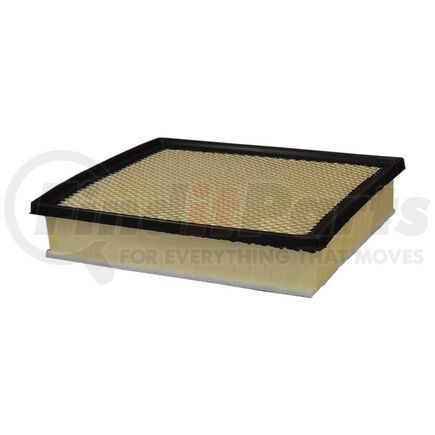 ECOGARD XA10242 AIR FILTER