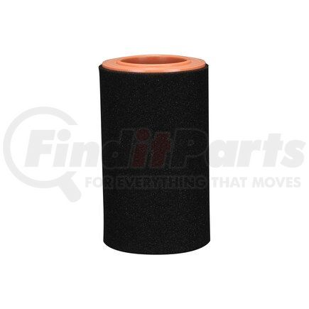 ECOGARD XA10634 AIR FILTER