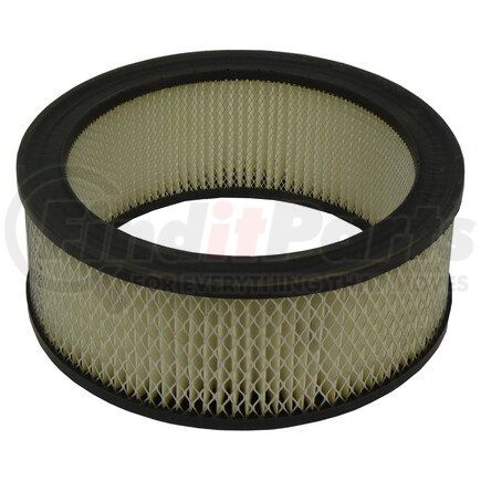 ECOGARD XA3181 Air Filter