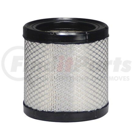 ECOGARD XA3196 Air Filter