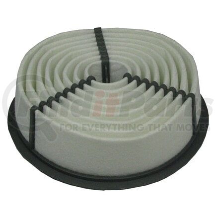 ECOGARD XA4361 Air Filter