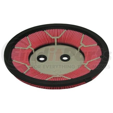 ECOGARD XA4669 Air Filter