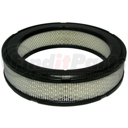 ECOGARD XA110 Air Filter