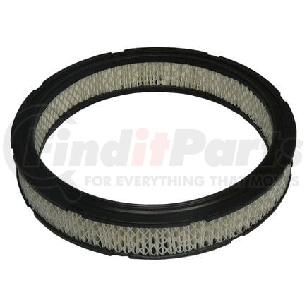 ECOGARD XA131 Air Filter