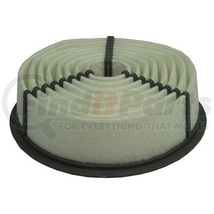 ECOGARD XA4629 Air Filter