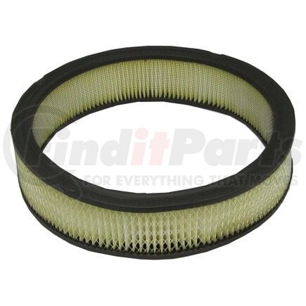 ECOGARD XA84 Air Filter