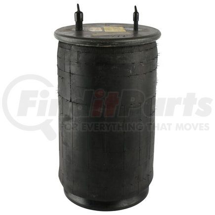 Firestone W01-455-8724 AIR SPRING