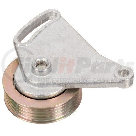 INA FT10309 INA BDC FEAD tensioner pulley