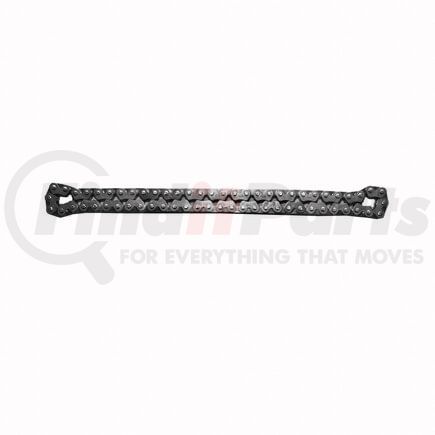INA ZCC712F INA CDC Chain, oil pump drive