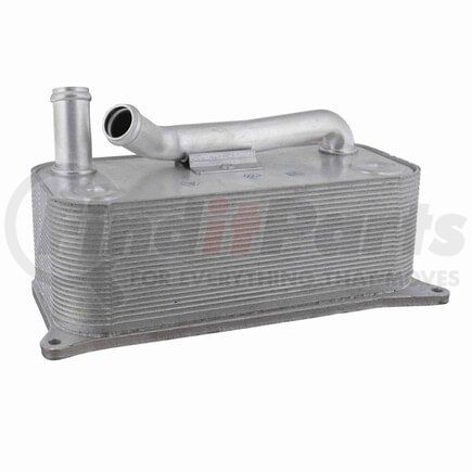 Vemo V15606085 Oil Cooler, engine oil