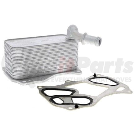 Vemo V30601342 Radiador de aceite, aceite motor