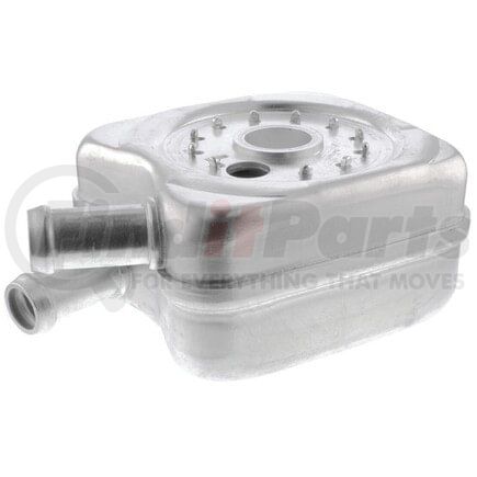 Vemo V15-60-6010 Oil Cooler, engine oil