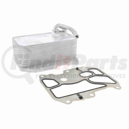 Vemo V15606075 Oil Cooler, engine oil