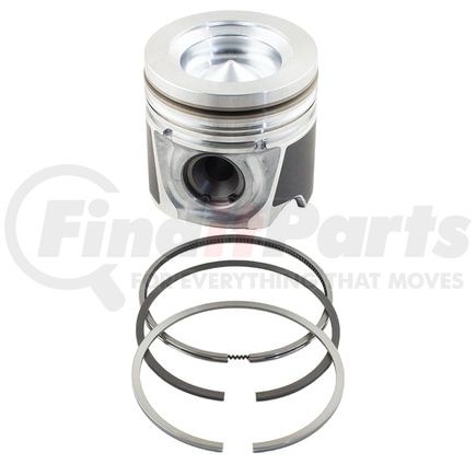 Reliance Power Products 118094848 Piston & Rings