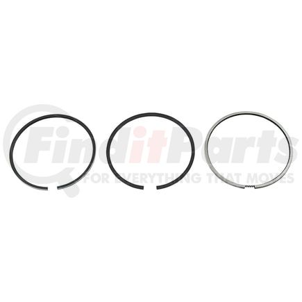 Reliance Power Products 1187316213 Piston Ring Set