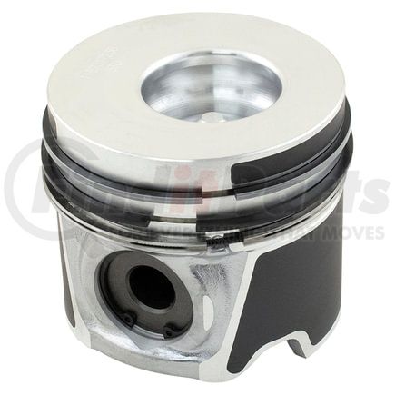 Reliance Power Products 1187317238 Piston & Rings