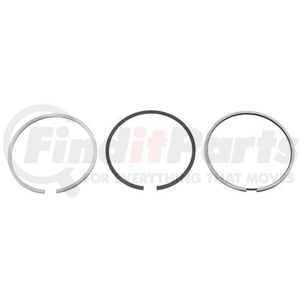 Reliance Power Products 1187316944 Piston Ring Set