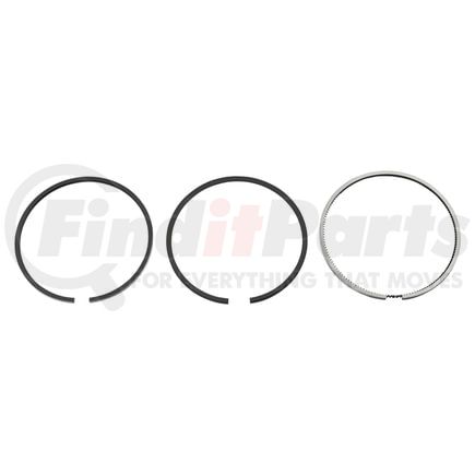 Reliance Power Products 1187316959 Piston Ring Set