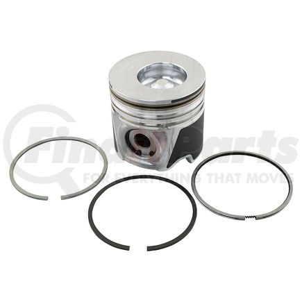 Reliance Power Products 1187317252 Piston & Rings