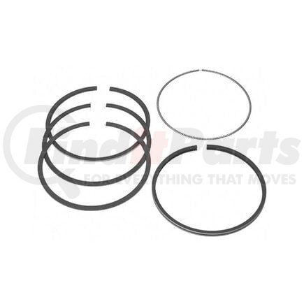 Reliance Power Products 474062447 Piston Ring Set