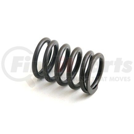 Reliance Power Products 73055060 Valve Spring