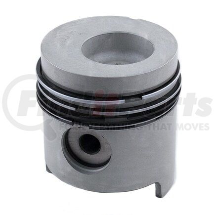 Reliance Power Products F161164 Piston & Rings