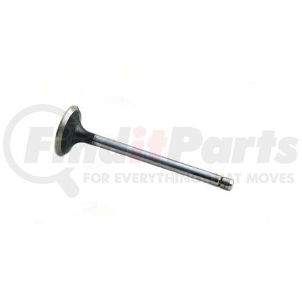 Reliance Power Products 111904655 Exhaust Valve