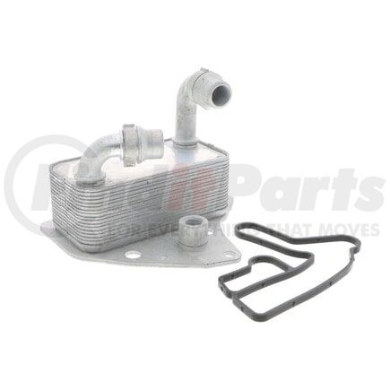 Vemo V40602100 Oil Cooler, engine oil