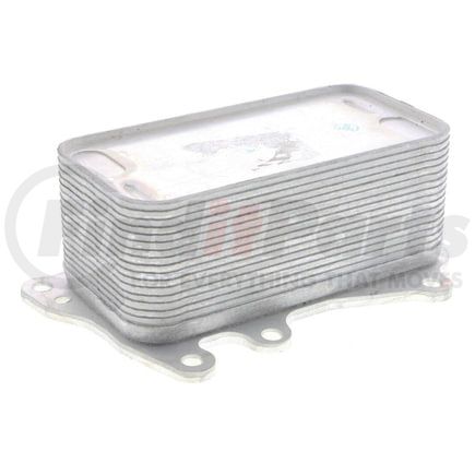 Vemo V20600044 Oil Cooler, engine oil