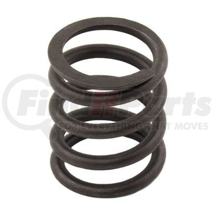 Reliance Power Products M3174P412 Valve Spring