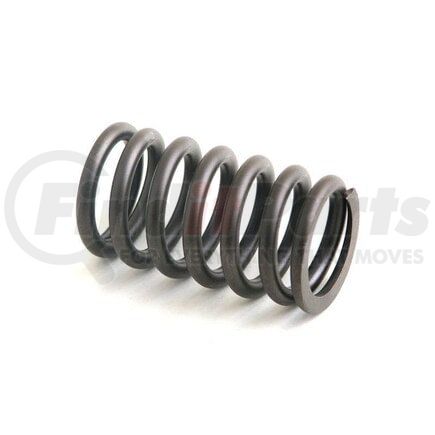 Reliance Power Products NR91822 Valve Spring